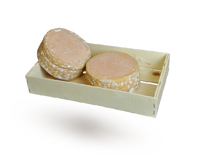 fromage-tomme-vache-ferme-mezerac-barquette
