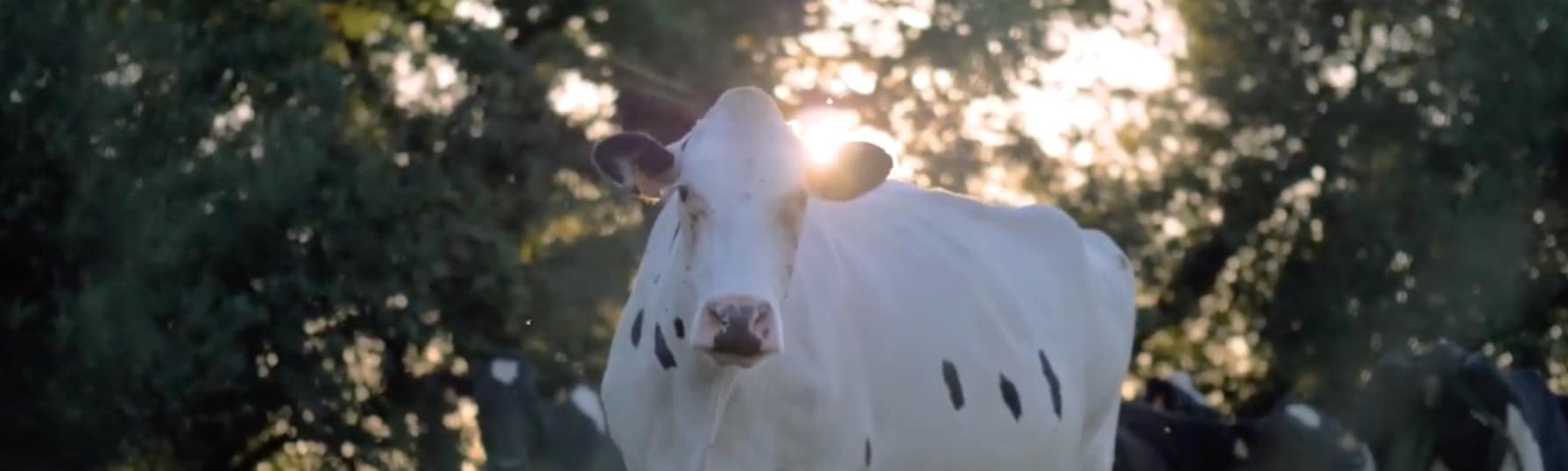 visite-ferme-mezerac-guerande